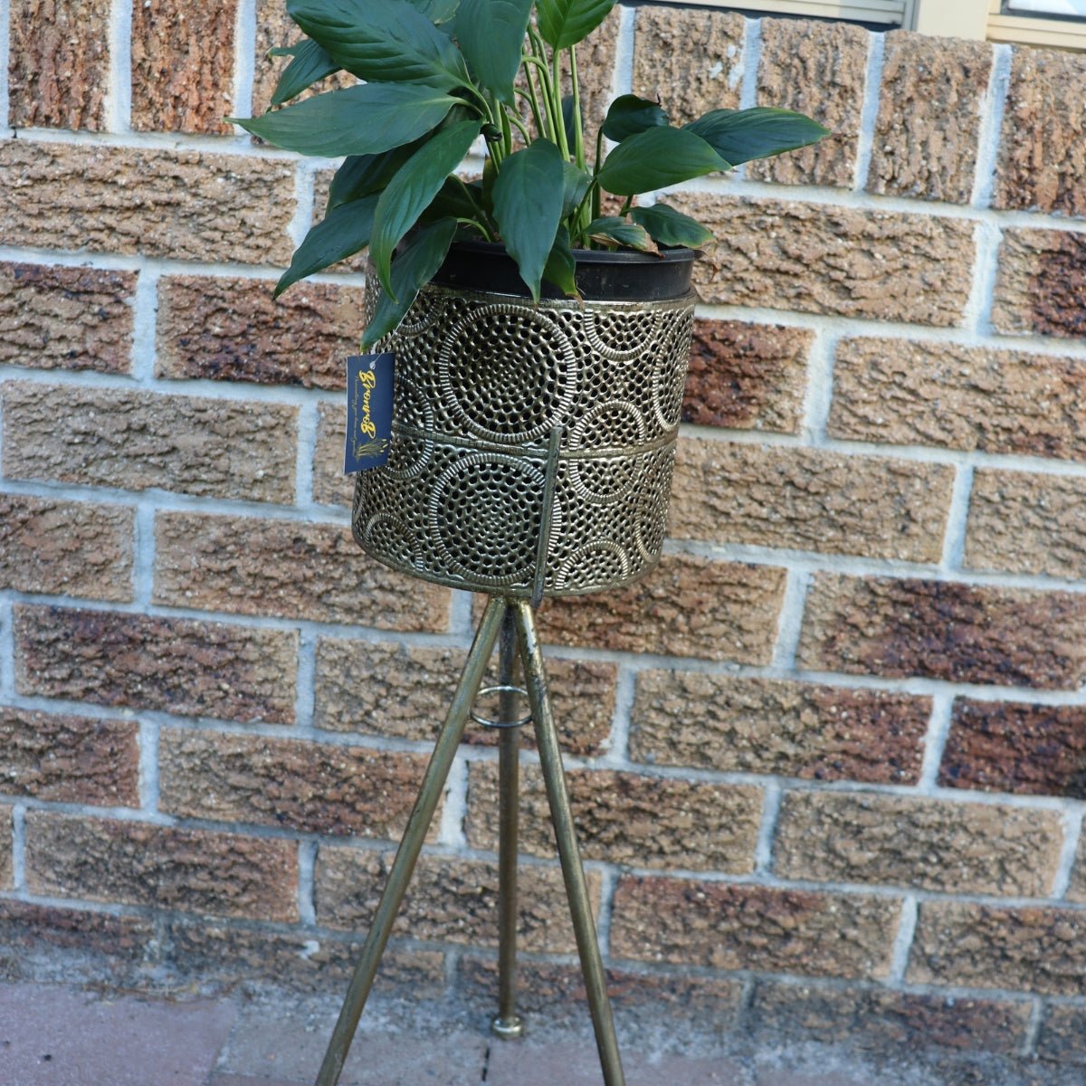Plant Stand | Metal | Decor - Oldboy&