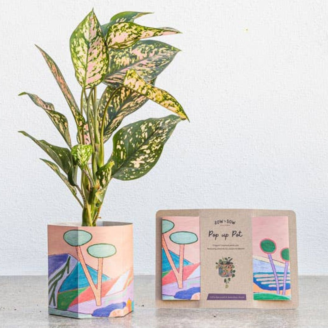 Pop Up Pot &
