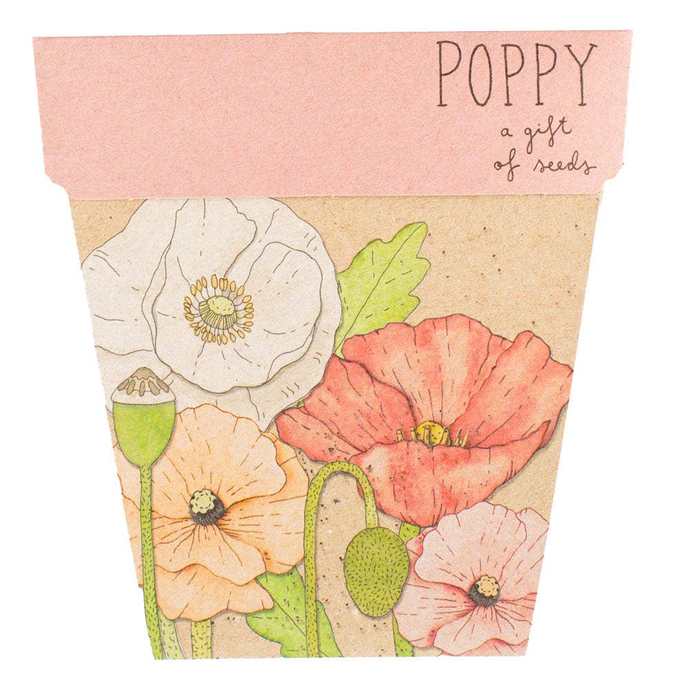 Poppy Gift of Seeds - Oldboy&