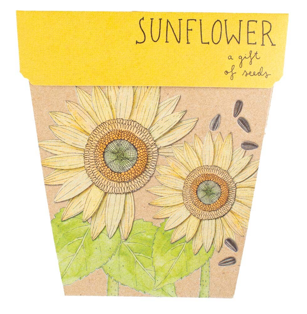 Sunflower Gift of Seeds - Oldboy&