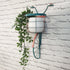 Wall Bike Planter - Oldboy&